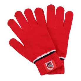 Dragons Touch Screen Gloves