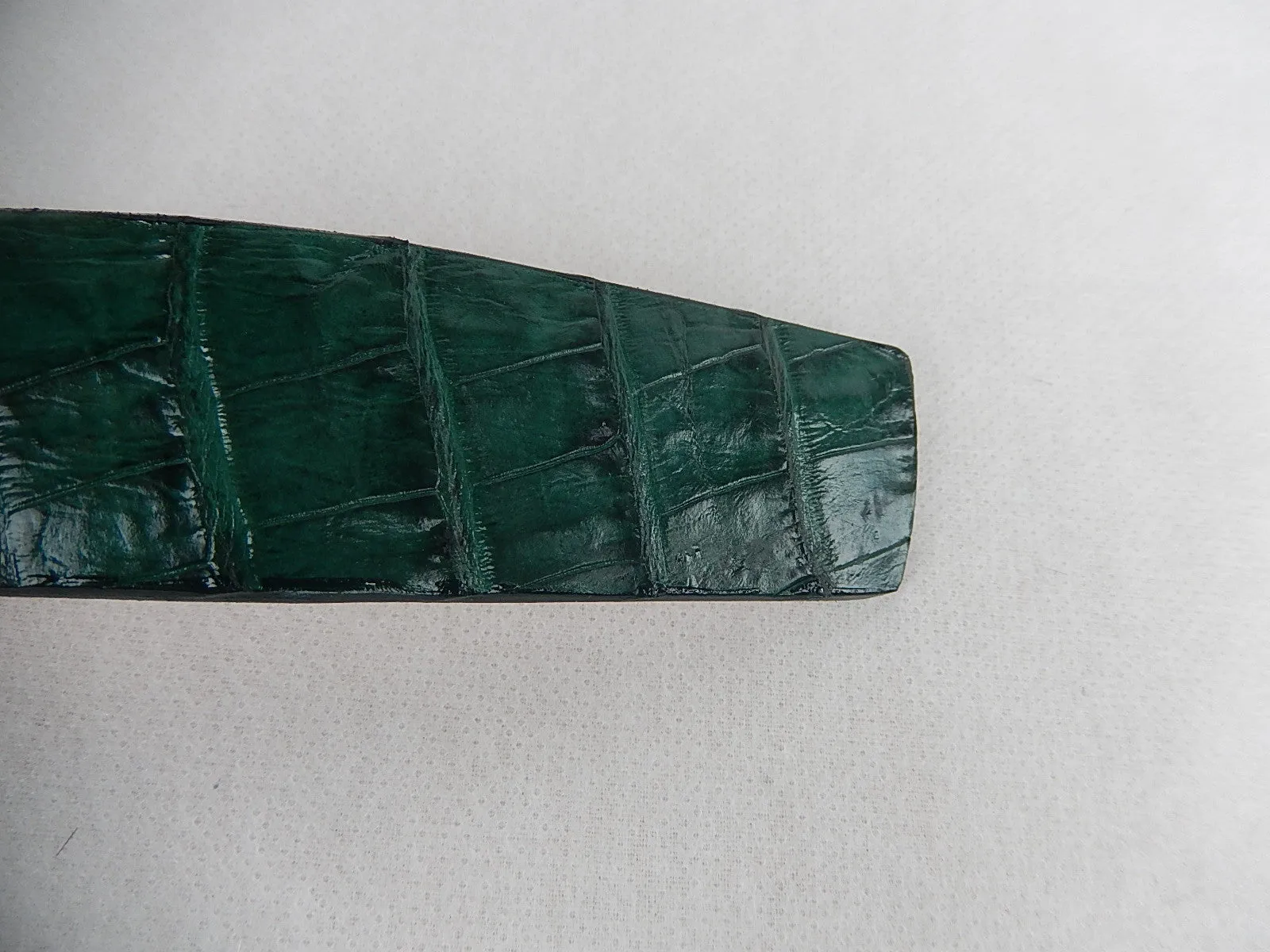 G-Gator Hornback Crocodile Green Belt