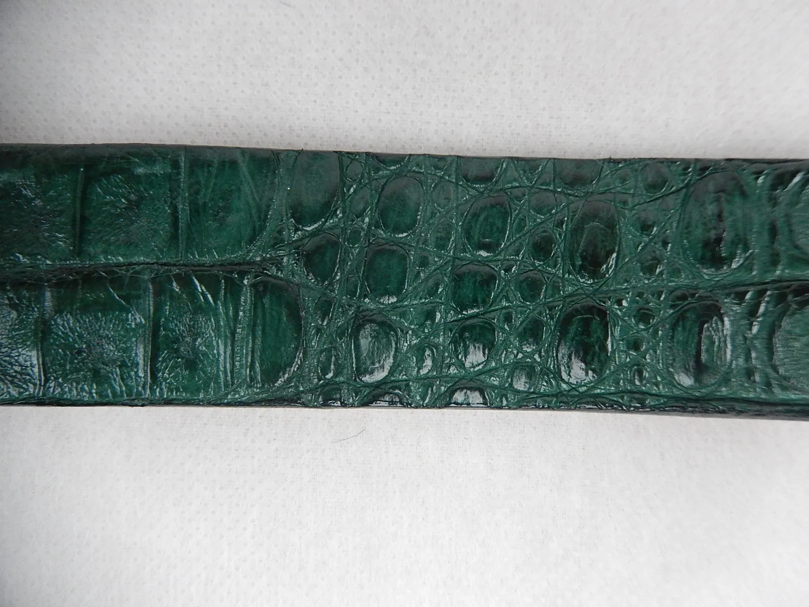 G-Gator Hornback Crocodile Green Belt