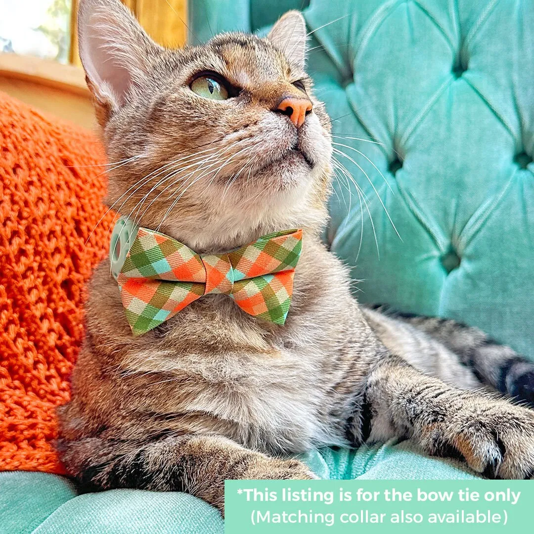 Pet Bow Tie - "Scenic Route" - Aqua, Green & Orange Plaid Cat Bow / Fall, Summer, Spring / For Cats   Small Dogs (One Size)