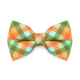 Pet Bow Tie - "Scenic Route" - Aqua, Green & Orange Plaid Cat Bow / Fall, Summer, Spring / For Cats   Small Dogs (One Size)