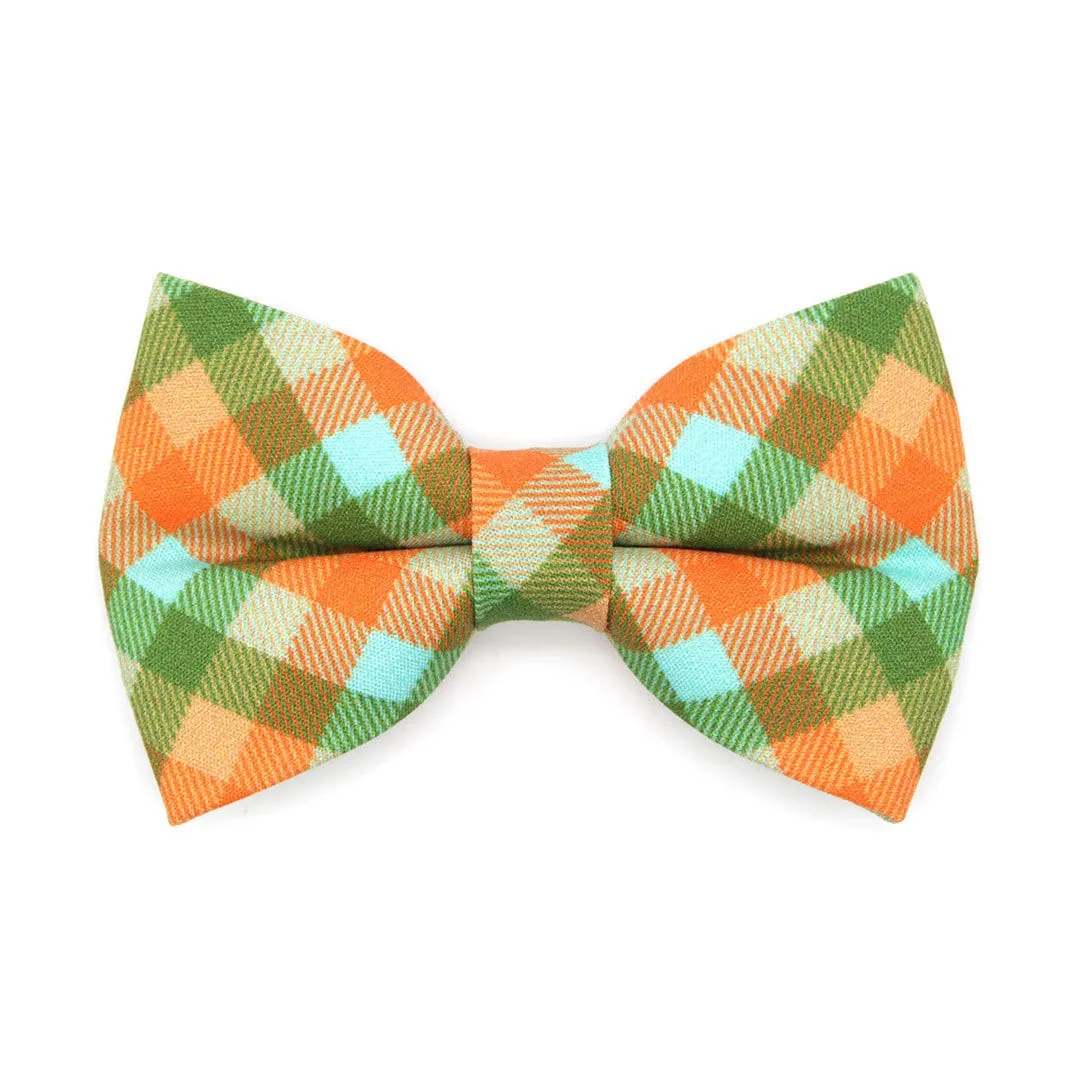 Pet Bow Tie - "Scenic Route" - Aqua, Green & Orange Plaid Cat Bow / Fall, Summer, Spring / For Cats   Small Dogs (One Size)