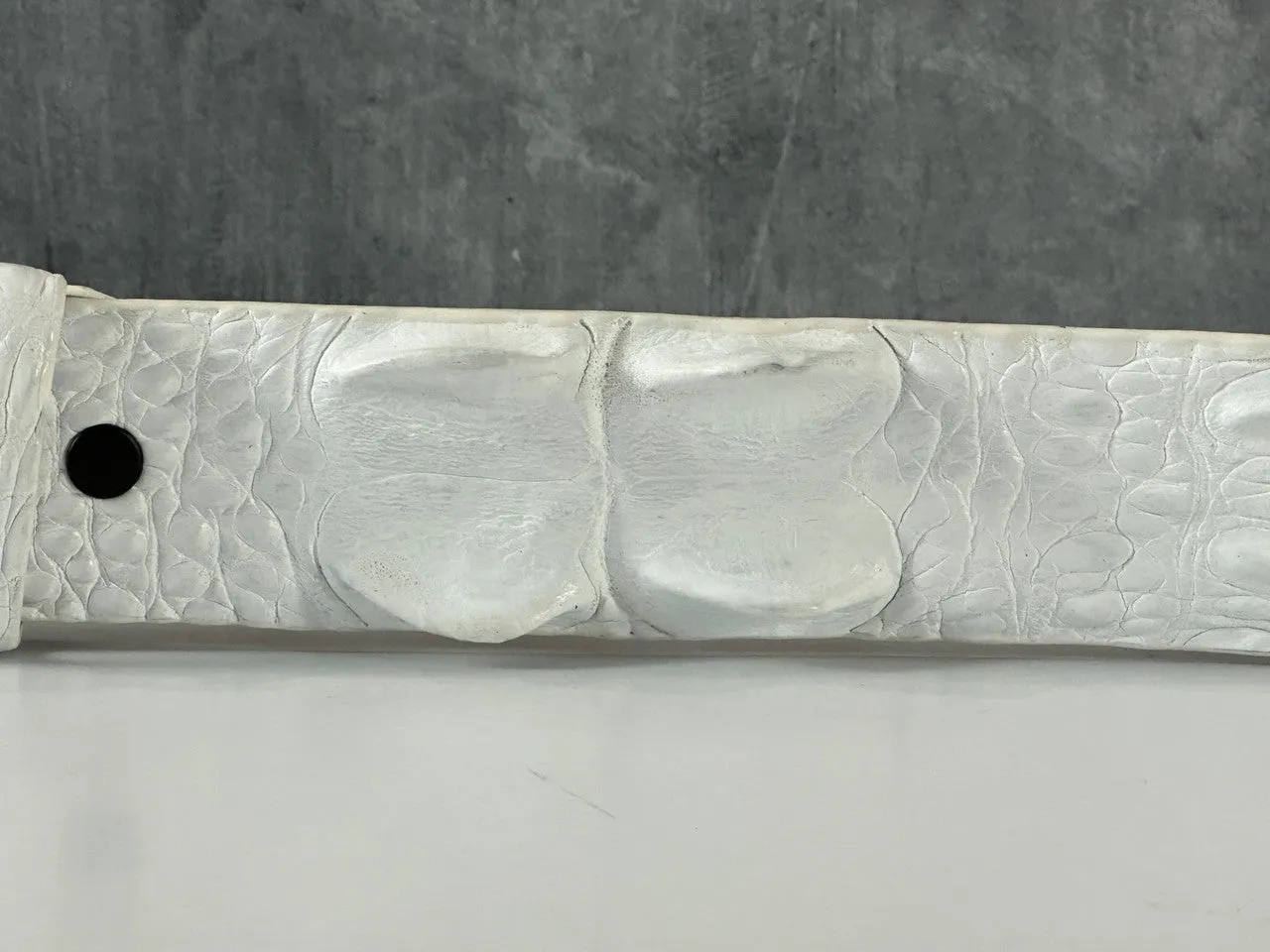 Saltwater Crocodile Belt: White