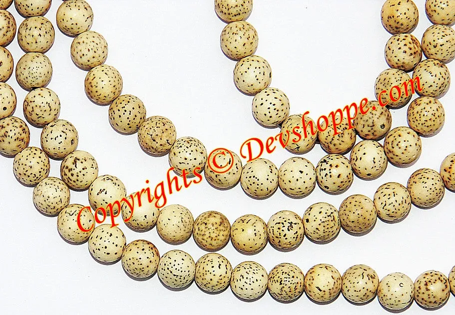 Tibetan Buddhist Xing-Yue (Xingyue) Bodhi Seed Prayer Beads Necklace Mala